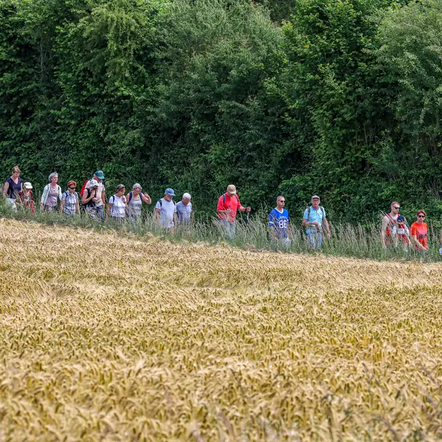 2022-06-11 Inoguration de la boucle de randonnée numéro 5 et marché au claire de lune - Vimarcé ©Damien Trohel (14)