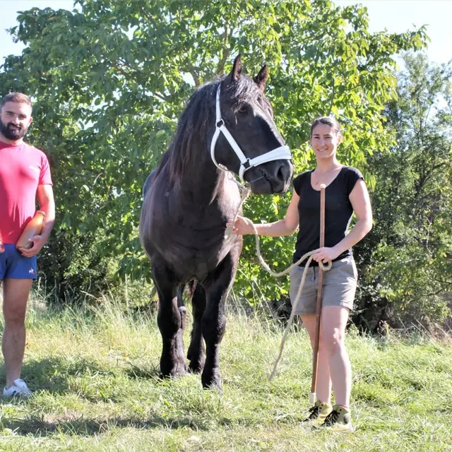 Julien et Audrey accompagné d'Igor, notre Percheron