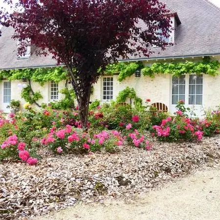 241178995_133368395674895_3972406214814854246_n