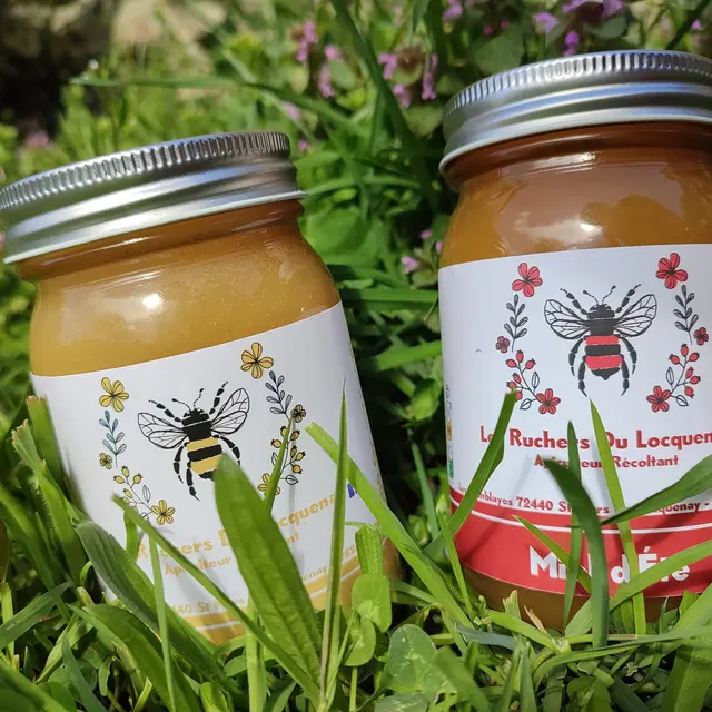 338325565_536463995279190_8741102067828853452_n