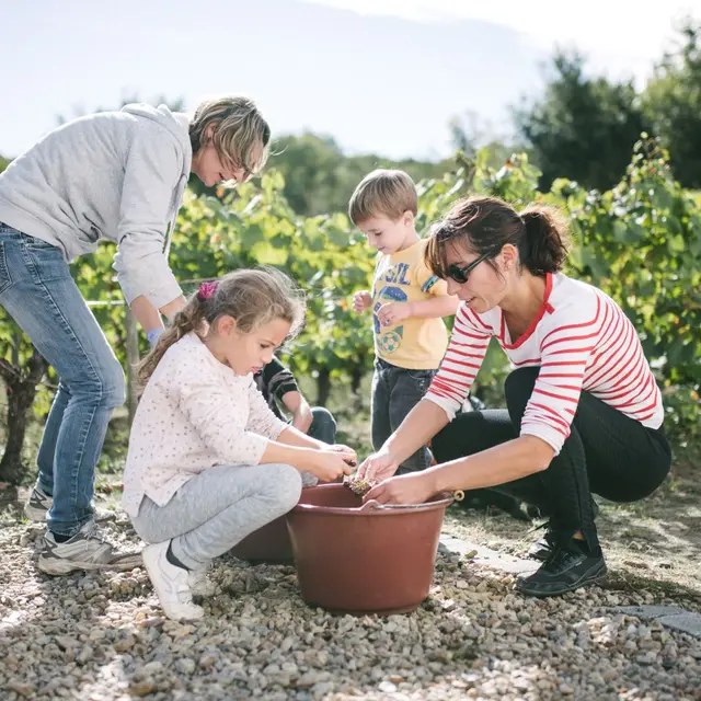 vendanges en famille