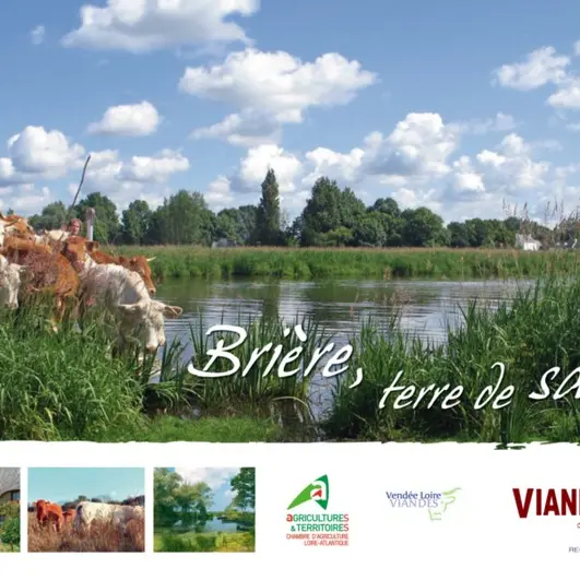 viande-bovine-marque-parc-naturel-regional-de-briere-logo-1212209