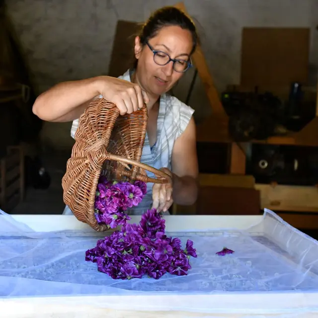 visite-jardin-d'herboriste_2025_Destination-vignoble-nantais