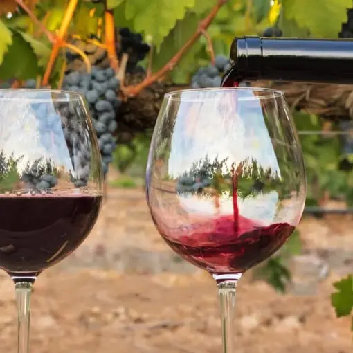 visite un verre à la main olive martin
