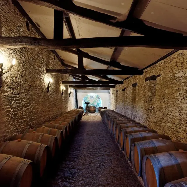 visiteentreprisechateaucassemichere-2024-levignobledenantes-tourisme