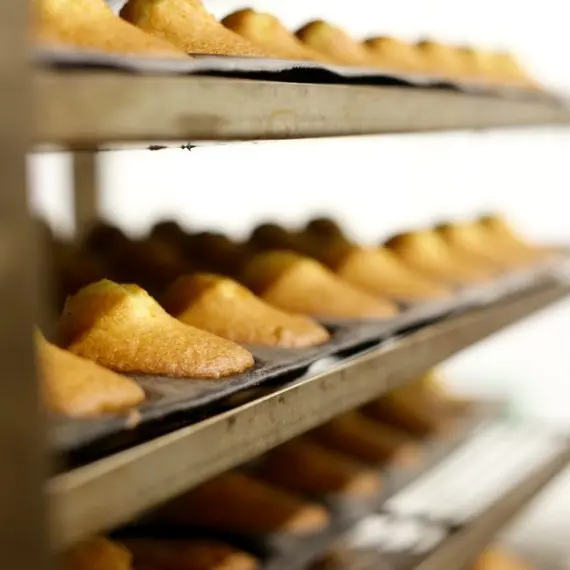 visiteentreprisenatureetcievallet1-2024-levignobledenantes-tourisme