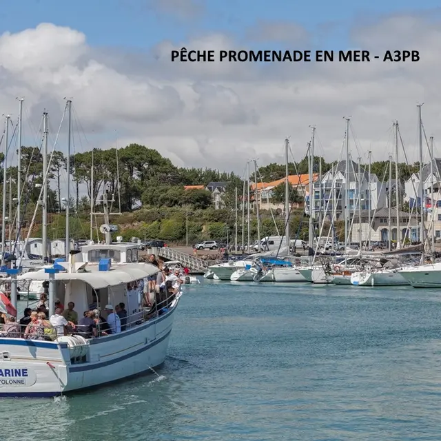 A3PB-credit-photo-imprimerie-de-la-Sevre-Niort--1-