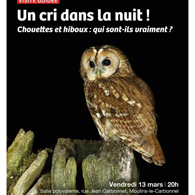 ABC HSAM Rapaces nocturnes Moulins 13 03