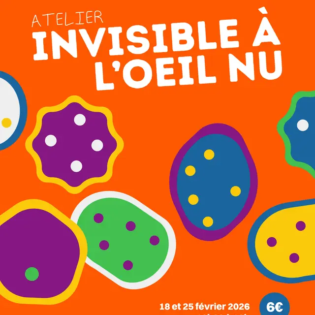 Affiche - Invisible à l'oeil nu