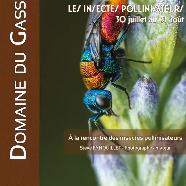 Exposition Les insectes pollinisateurs - Domaine du Gasseau - été 2026