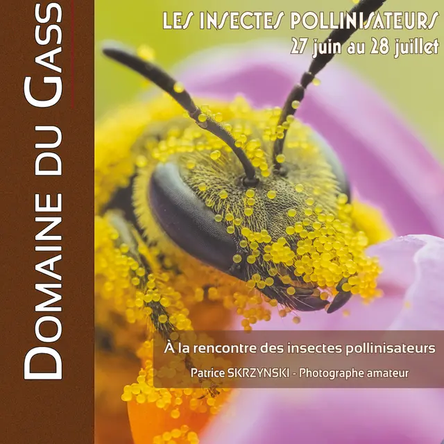 Exposition Les insectes pollinisateurs - Domaine du Gasseau - été 2026