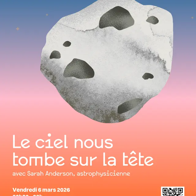 Affiche -Le ciel nous tombe sur la tête