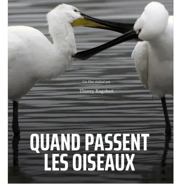 Affiche Quand passent les oiseaux.odt 2_page-0001