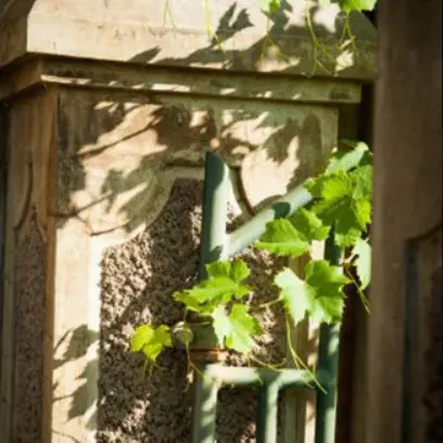 AfterworkLaRagotière_LaRegrippière_2025_DestinationVignobleNantais.com