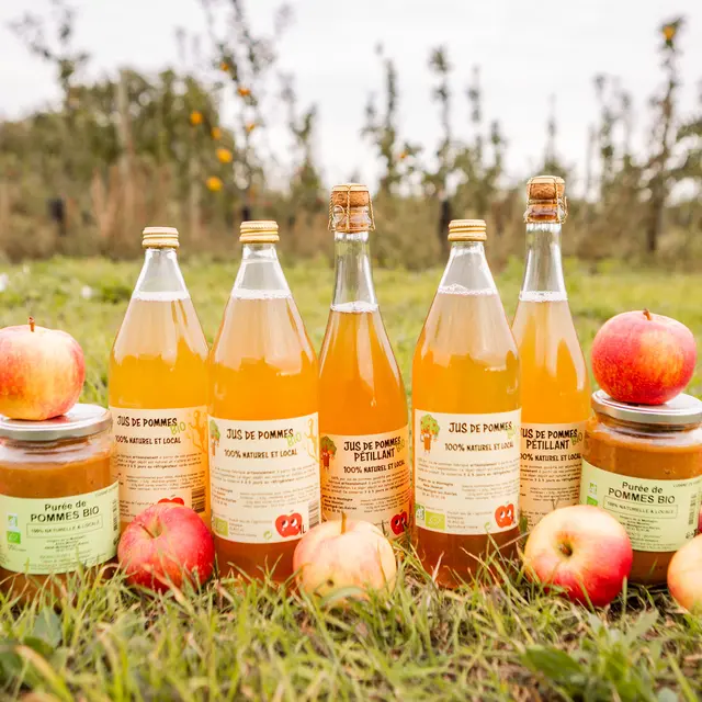 Anne Monnier Montigné