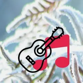 ApéroConcertNoël_Gétigné_2024_levignobledenantes-tourisme.com