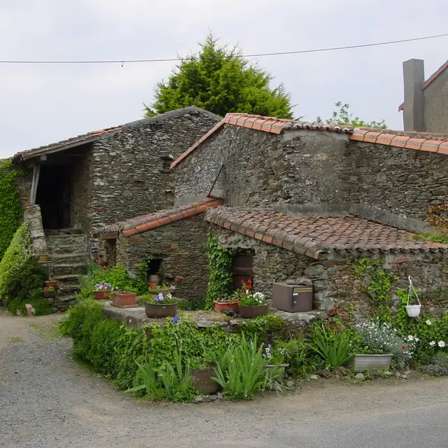 Le pé de Sèvre. Habitation vigneronne typique.