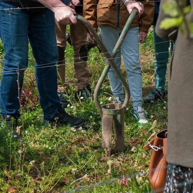 parcours touche à tout au musée du vignoble nantais