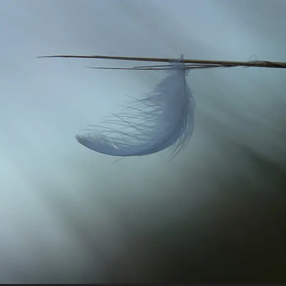 BaladephotoMinimalisme_Gétigné_2025_DestinationVignobleNantais.com