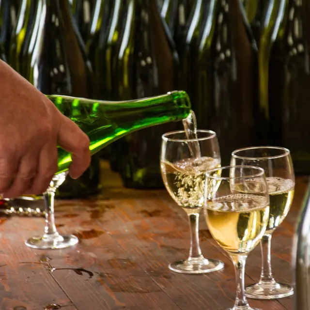 BoulayOTVL2015@stevanLIRA-11