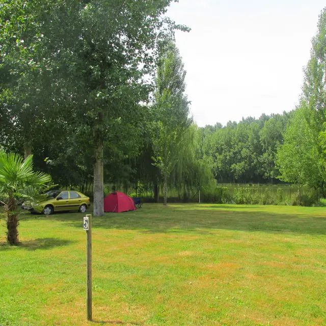 Camping de la Jamoniere (Terrains)