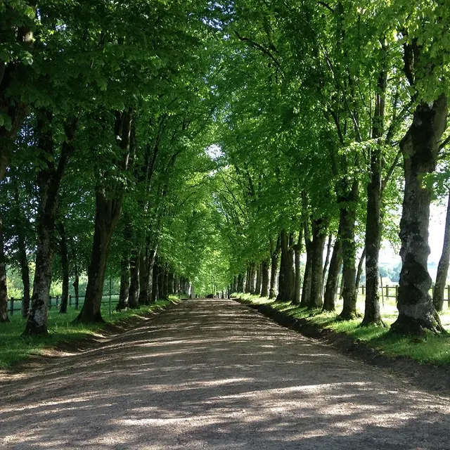 Chateau-de-Dehault-72-PCU-2-2-2