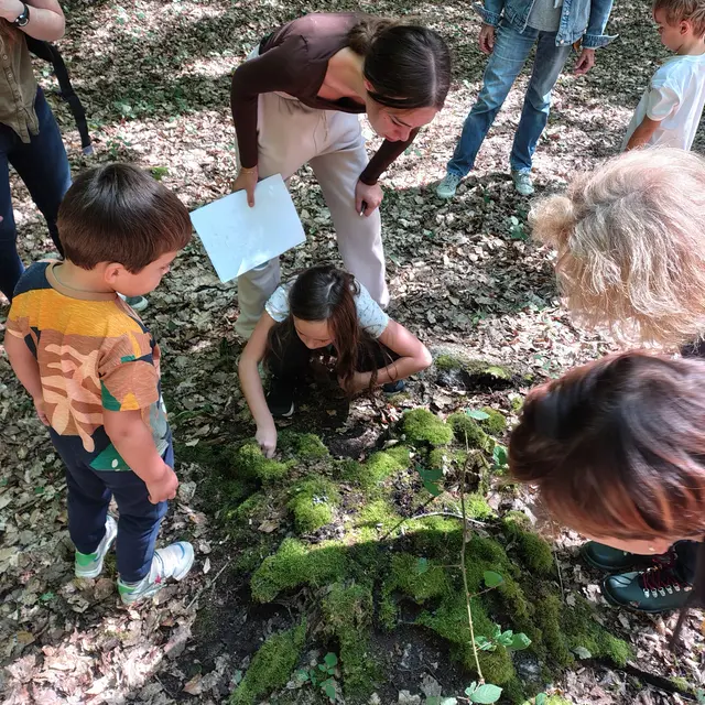 Chasse au trésor faine dorée_balade famille