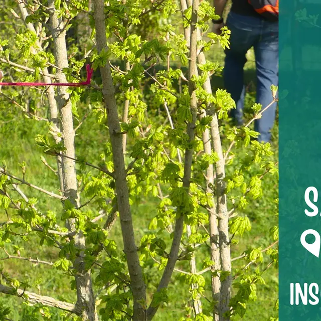 Copie de Fête des associations - 13