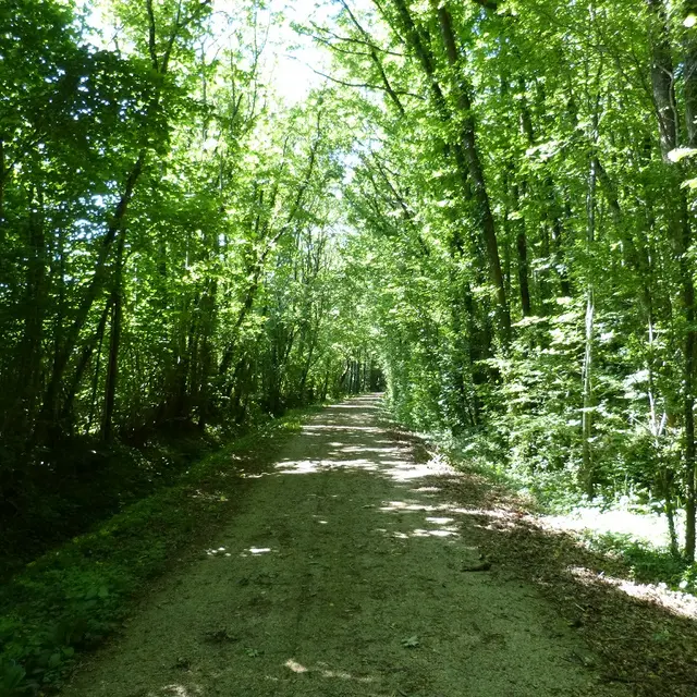 Chemin de la Mine - Faymoreau