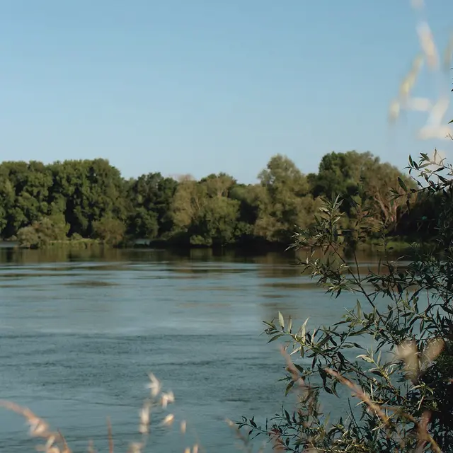 Conference Ré-équilibrer la Loire