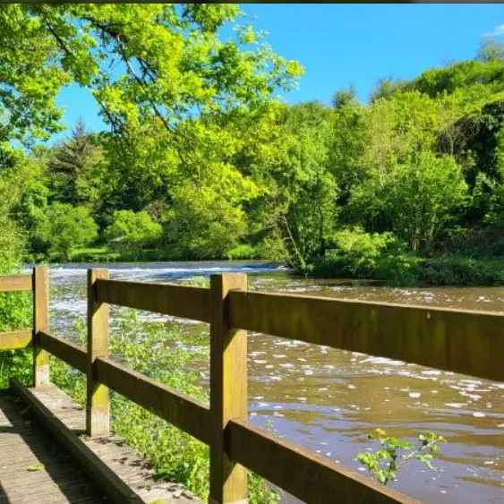 ConférenceSèvreNantaise_Clisson_2024_levignobledenantes-tourisme.com
