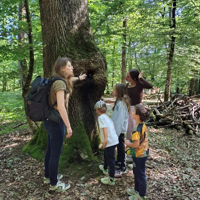 Créatures magiques_balade famille (1)