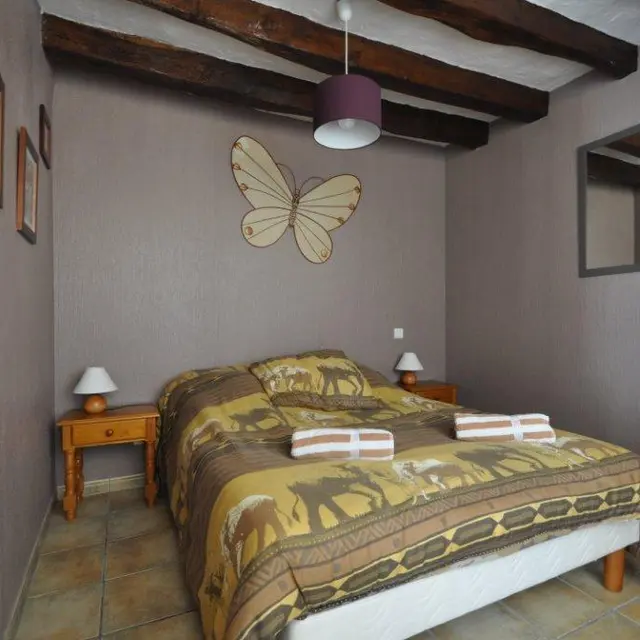 HLO899000486 - DSC_0001