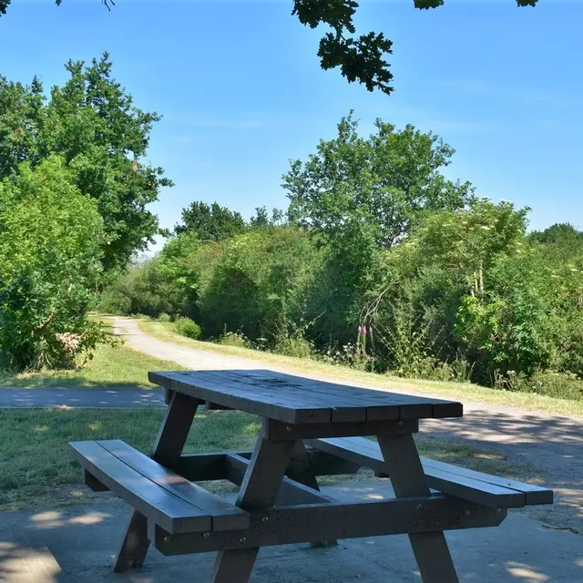 Aire de pique-nique des Guifettes