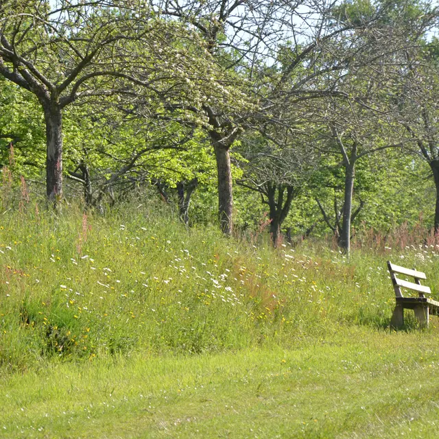 Verger conservatoire