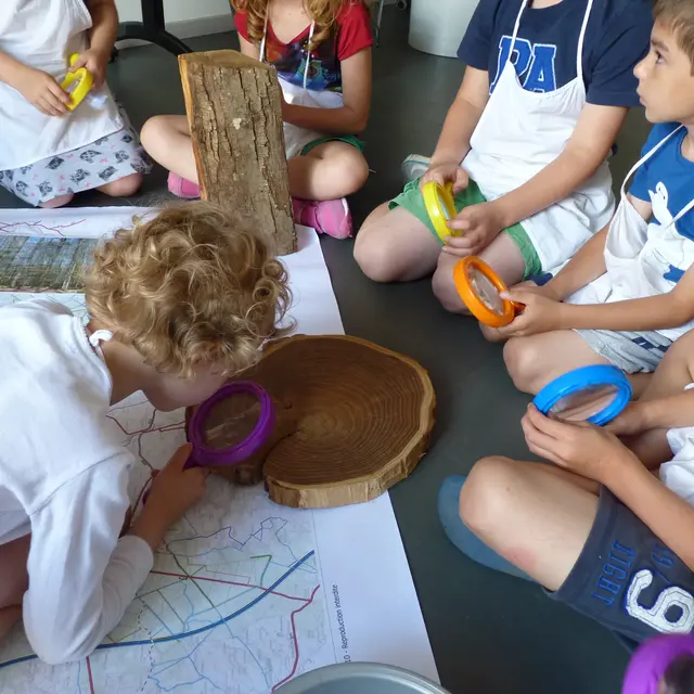 De la petite graine à l'arbre_Atelier enfant