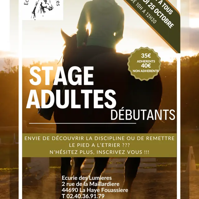 Ecurie des Lumières stage Toussaint 2025