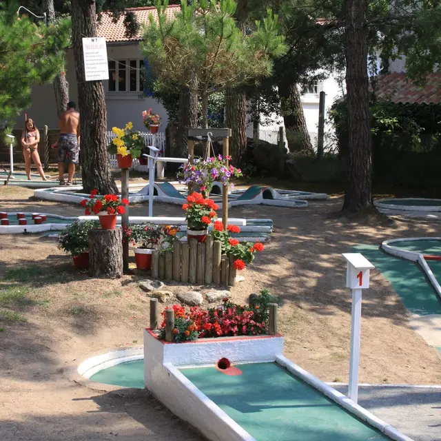 activiteloisirs-minigolf-latranchesurmer-85