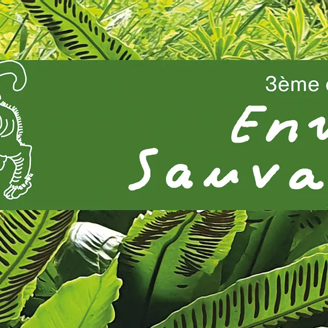 Envie-sauvage