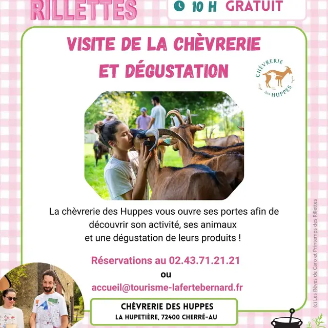 FB_IMG_1771529987729