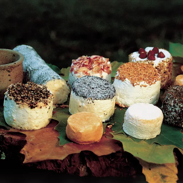 DEG72-fromages-chèvre