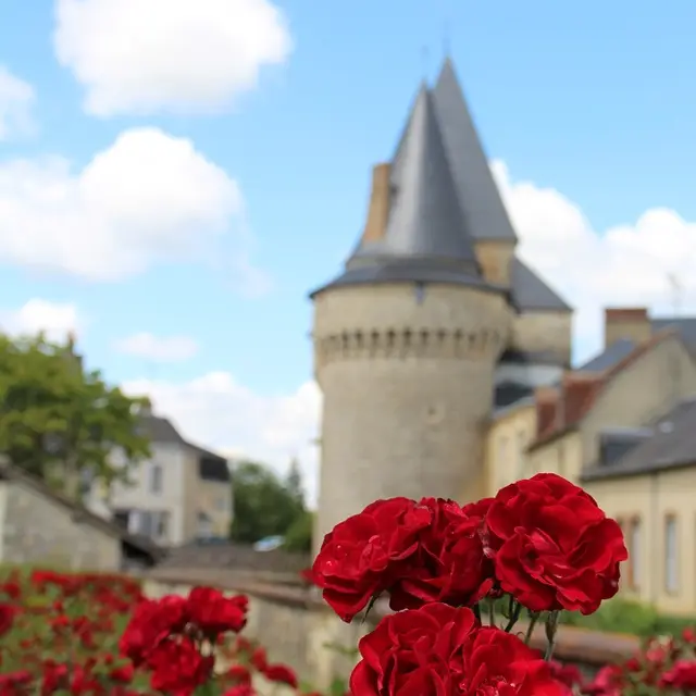 Fleur---porte-saint-julien--3--2