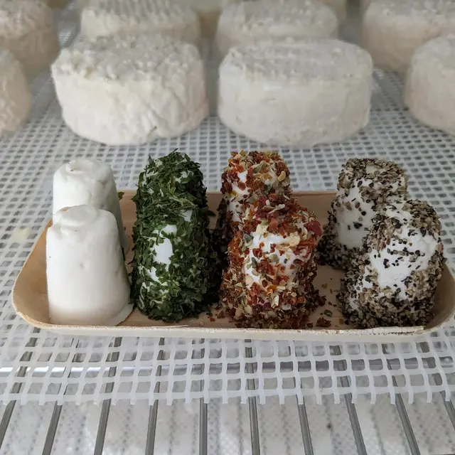 Les Chèvres de St Céneri - Saint-Céneri-le-Gérei - fromages