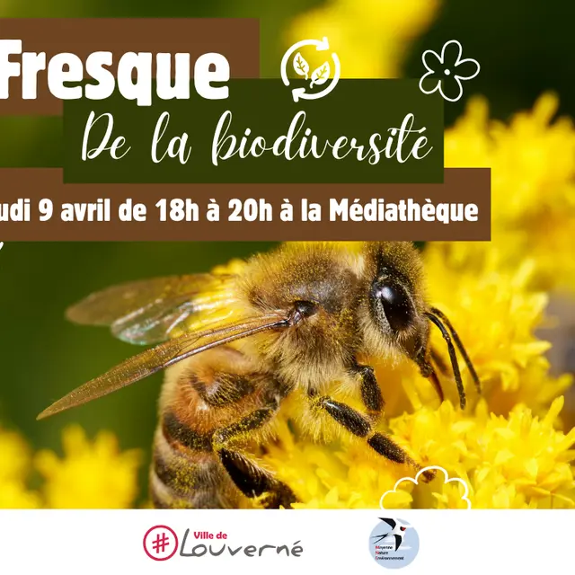 Fresque de la biodiversité