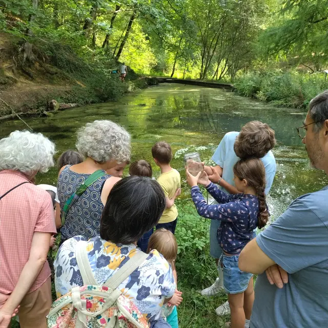 Grenouilles et Cie_balade ONF (1)