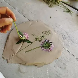 Herbier en argile_25