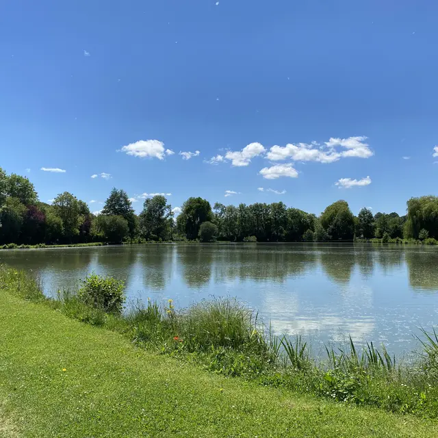 Étang de la Pêcherie - Vernie