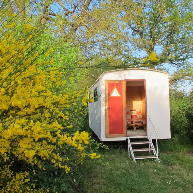 La Grande Savane - Saint-Paul-le-Gaultier - roulotte extérieur