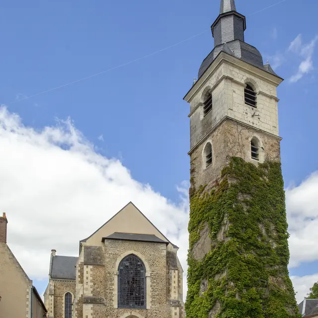 IVR52_20207200417NUCA