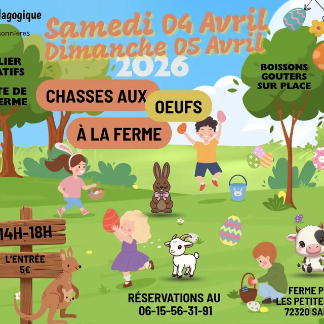 Image 23-02-2026 à 19.53